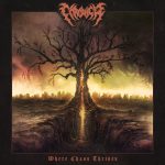 Chronicle – Where Chaos Thrives – Album Review